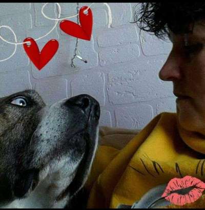 Dogorama Photo Challenge - Liebesbeweis-Beitrag-Bild