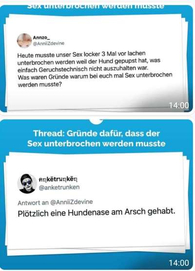 Hunde Memes-Beitrag-Bild