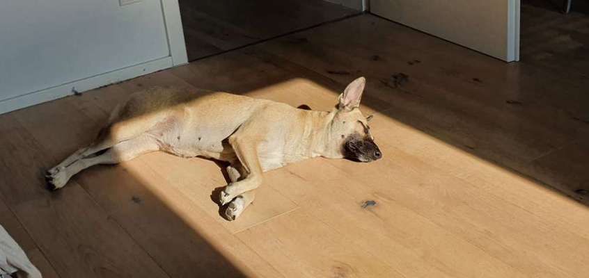 Foto Challenge Nr. 134-Beitrag-Bild