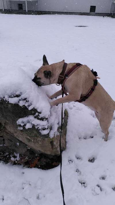 Wie sitzt mein Geschirr?-Beitrag-Bild