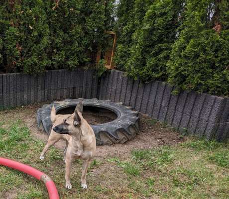 Erholung im Garten - Buddelecke-Beitrag-Bild