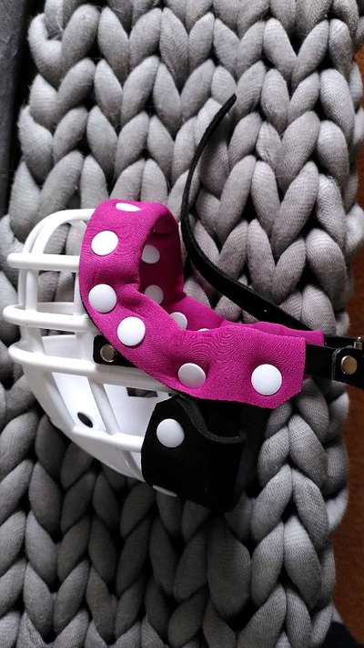 Wie sitzt mein Maulkorb / Maulkorb-Beratung-Beitrag-Bild