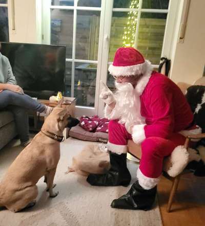 Dogorama Photo Challenge - Nikolaus-Beitrag-Bild