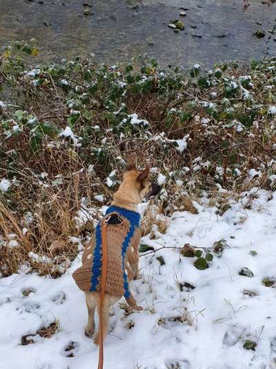 Pullis, Jacken, Hütte und alles sonstiges-Beitrag-Bild