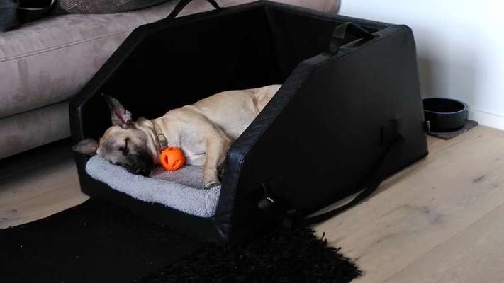 138. Fotochallenge 

(M)Ein Ball und ich-Beitrag-Bild