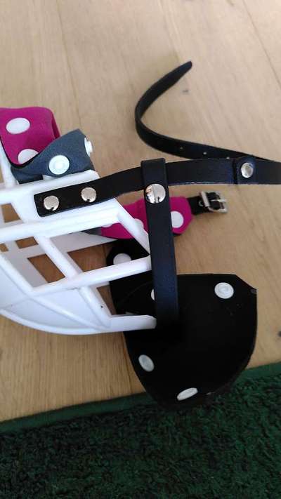 Wie sitzt mein Maulkorb / Maulkorb-Beratung-Beitrag-Bild