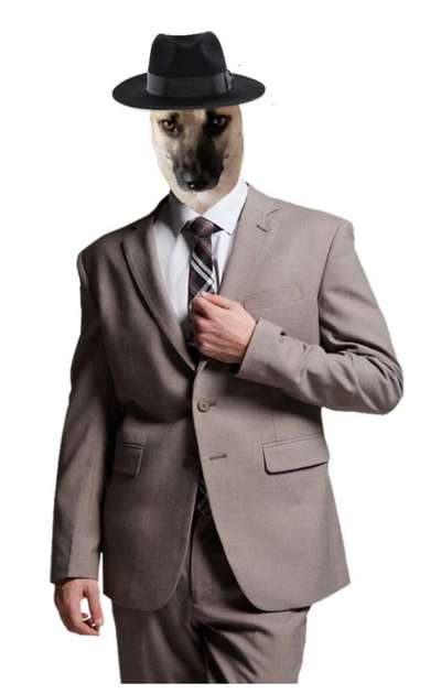 Photoshop und Co.-Beitrag-Bild