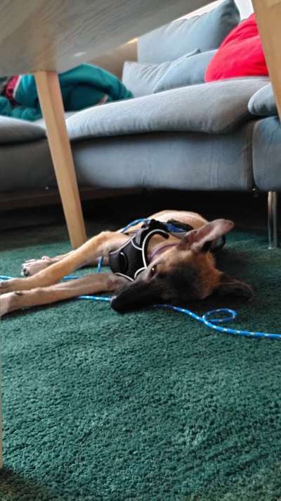 Fotochallange Nummer 5-Beitrag-Bild