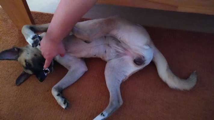 26. Handy Foto Challenge-Beitrag-Bild