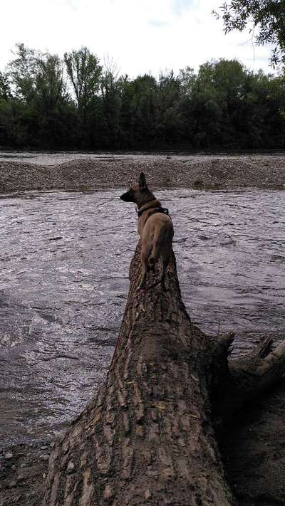 35. Handy Foto Challenge - Das nasse Element-Beitrag-Bild