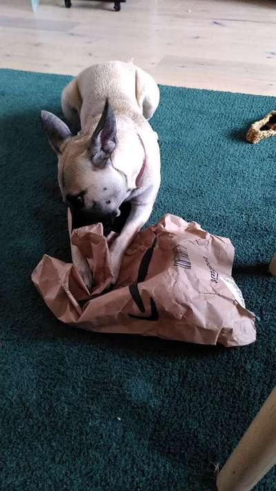 15. Handyfoto Challenge - Indoor Aktivitäten-Beitrag-Bild