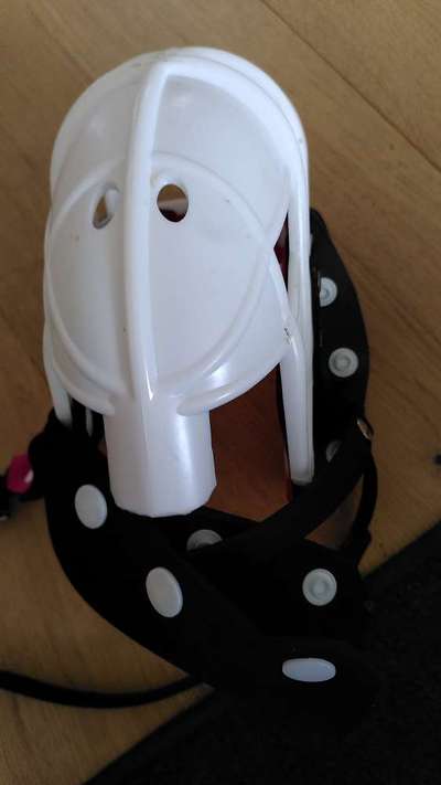 Wie sitzt mein Maulkorb / Maulkorb-Beratung-Beitrag-Bild