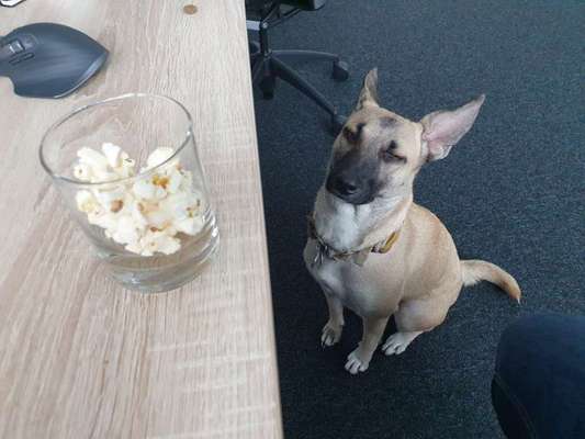 Zeigt her...-Beitrag-Bild