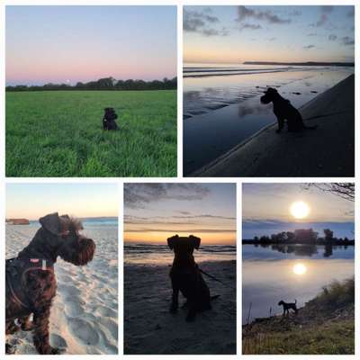 14. Collagen Challenge- Sonnenaufgang & -Untergang-Beitrag-Bild