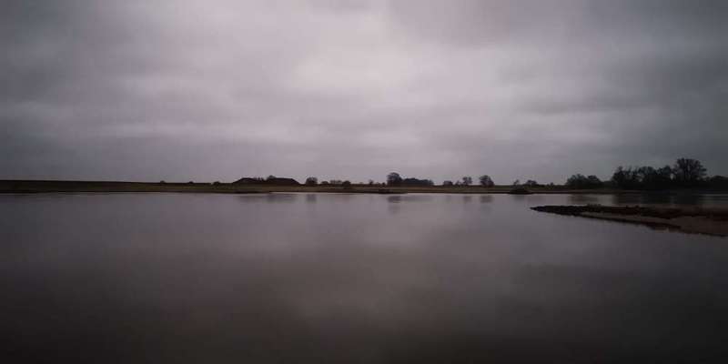 Die wunderschöne Welt mit Hund.-Beitrag-Bild