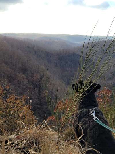 Dogorama Foto Challenge - Wanderziel-Beitrag-Bild