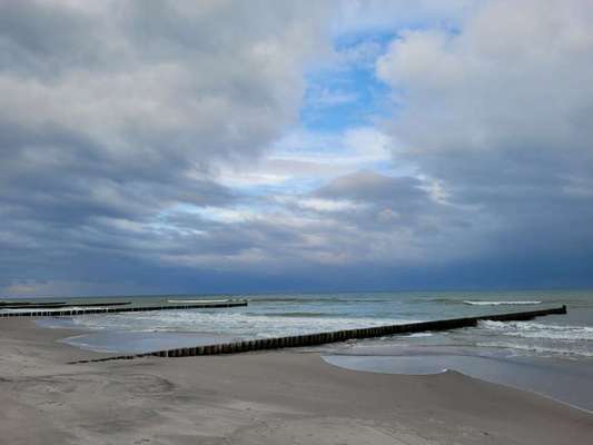 Die wunderschöne Welt mit Hund.-Beitrag-Bild