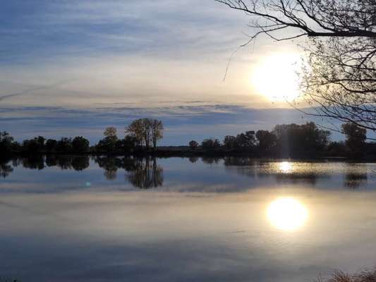 Die wunderschöne Welt mit Hund.-Beitrag-Bild