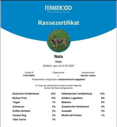 Rasse raten Rumänische Hündin-Beitrag-Bild