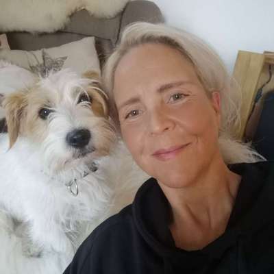 Hundetreffen-Gemeinsame Spaziergänge-Profilbild