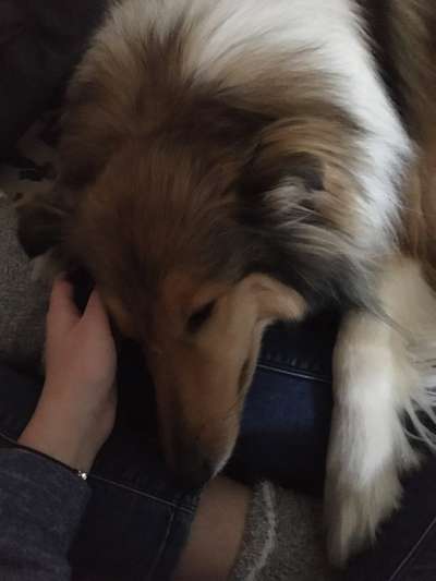 Die unbequemsten und lustigsten Schlafpositionen-Beitrag-Bild