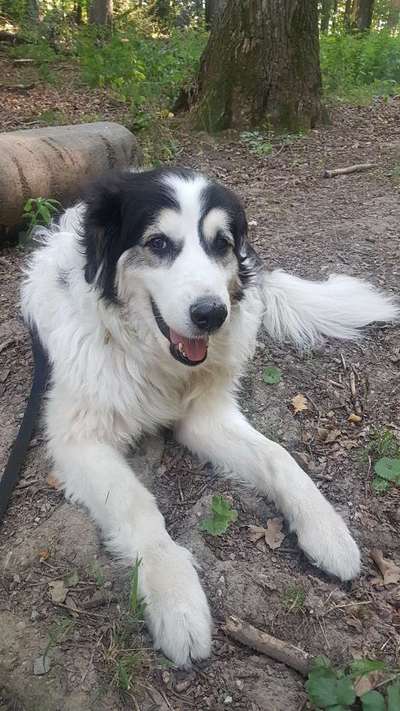 Doppelgänger gesucht !-Beitrag-Bild