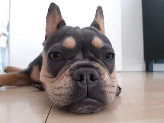 Fotochallange Nr. 57     PORTRÄT.   Beendet!!!!!!!!-Beitrag-Bild