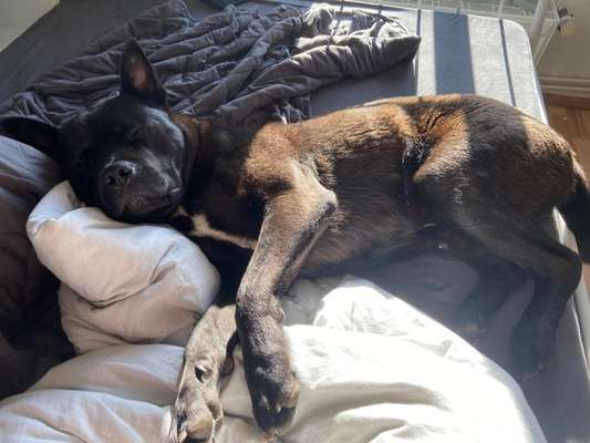 Foto Challenge Nr. 134-Beitrag-Bild