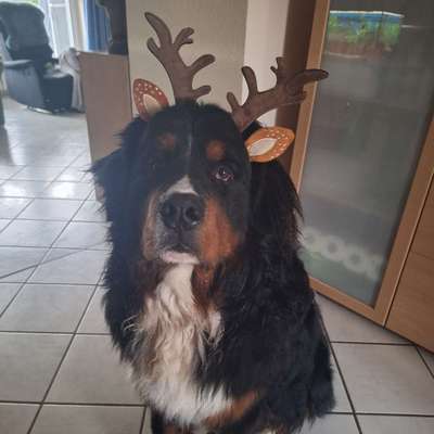 Marlies's Profilbild