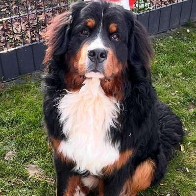 Marlies's Profilbild