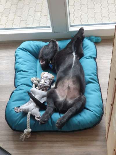 Fotochallenge Nr.65-Beitrag-Bild