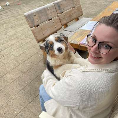 Hundetreffen-Gassi- und Spielrunde-Profilbild