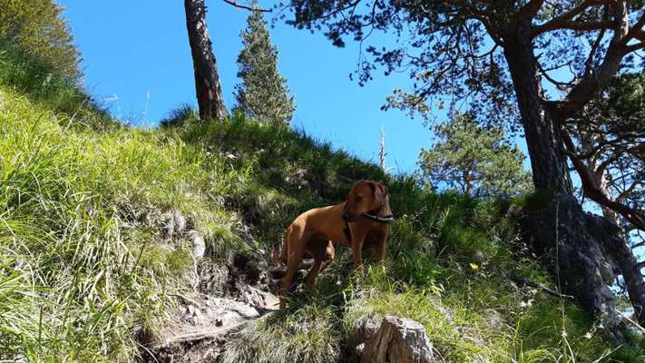 Fotochallenge Nr 107-Beitrag-Bild