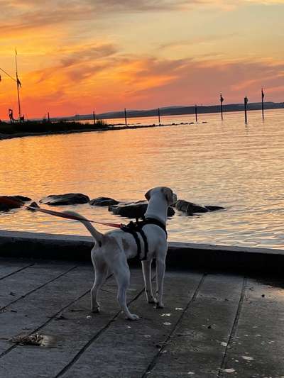 Theos  Fotochallenge Nummer 2-Beitrag-Bild