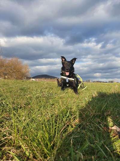 Lieblingsbild :D-Beitrag-Bild