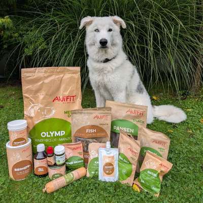 Ernährungsberater Bild