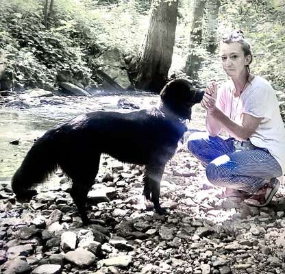 Mischlinge raten - Rätselspaß-Beitrag-Bild