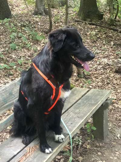 Doppelgänger gesucht !-Beitrag-Bild