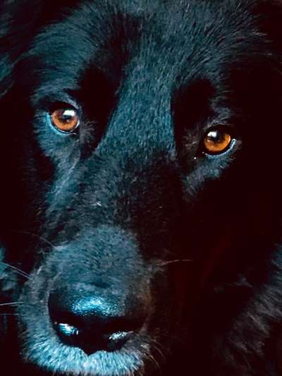 Fotochallange Nr. 57     PORTRÄT.   Beendet!!!!!!!!-Beitrag-Bild