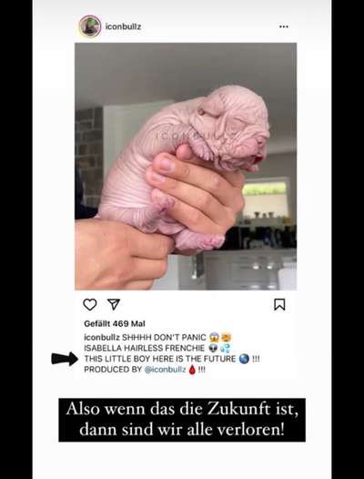 Qualzucht - Warum Aufklärung alleine nicht reicht-Beitrag-Bild