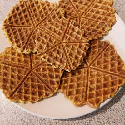 aktuelles Foto Gruppe Backen für Hunde