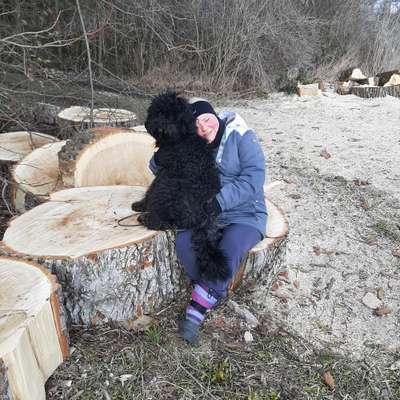 Romy 🌼's Profilbild