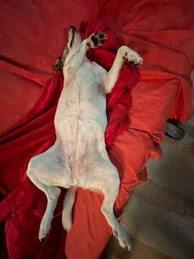 Fotochallenge Nr.65-Beitrag-Bild