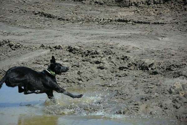 Fotochallenge 27-Beitrag-Bild