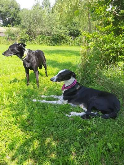 Gibt es Namens-Verwandte-Beitrag-Bild