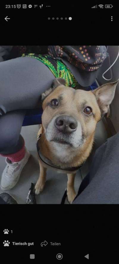 Doppelgänger gesucht !-Beitrag-Bild