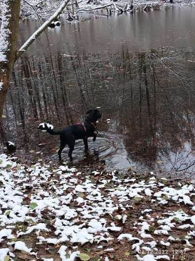 Der erste Schnee, zeigt uns eure tollen Schneemomente-Beitrag-Bild