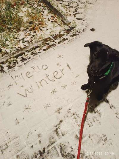 Der erste Schnee, zeigt uns eure tollen Schneemomente-Beitrag-Bild
