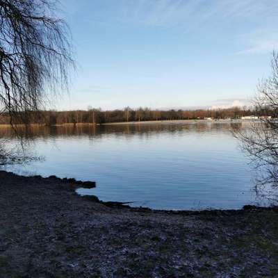 Hundeauslaufgebiet-Otto Maigler See-Bild