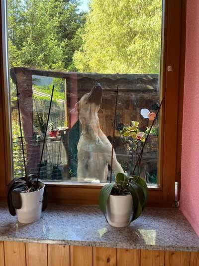 Foto-Challange No.1 - Alles aber nicht die Kamera-Beitrag-Bild